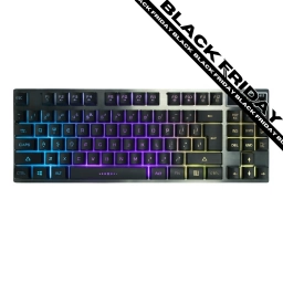Teclado Gamer USB FANTECH K613 Fighter TKL II | Completo, RGB, Negro