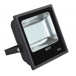 Foco LED | 80W, Luz Fr�a